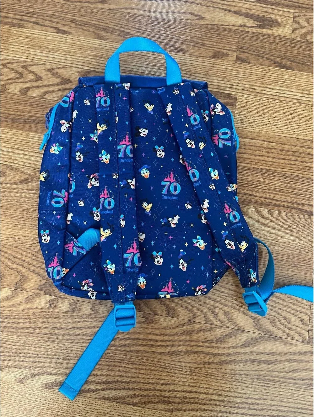 Disneyland 70th Anniversary Celebrate Happy Backpack and Minnie Mouse Hat